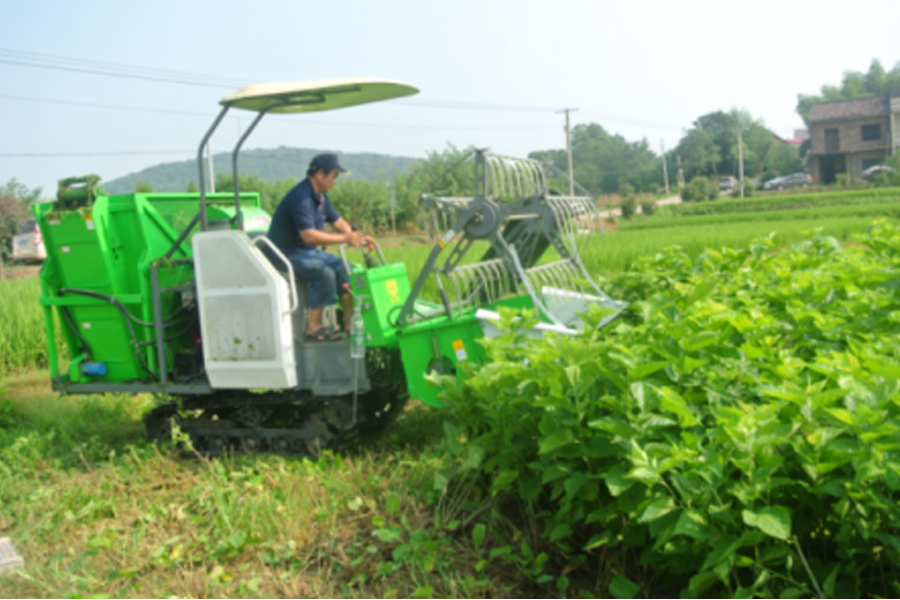 湖南省米乐YY易游M6盛泰农业科技有限公司